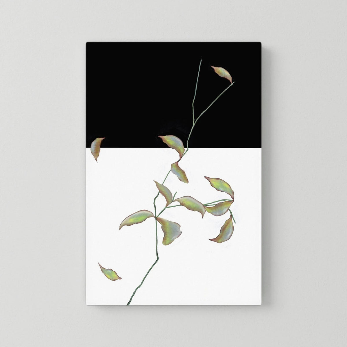 LEAFES