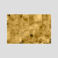 MANUSCRITO